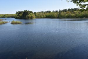 View of Rocky Pond